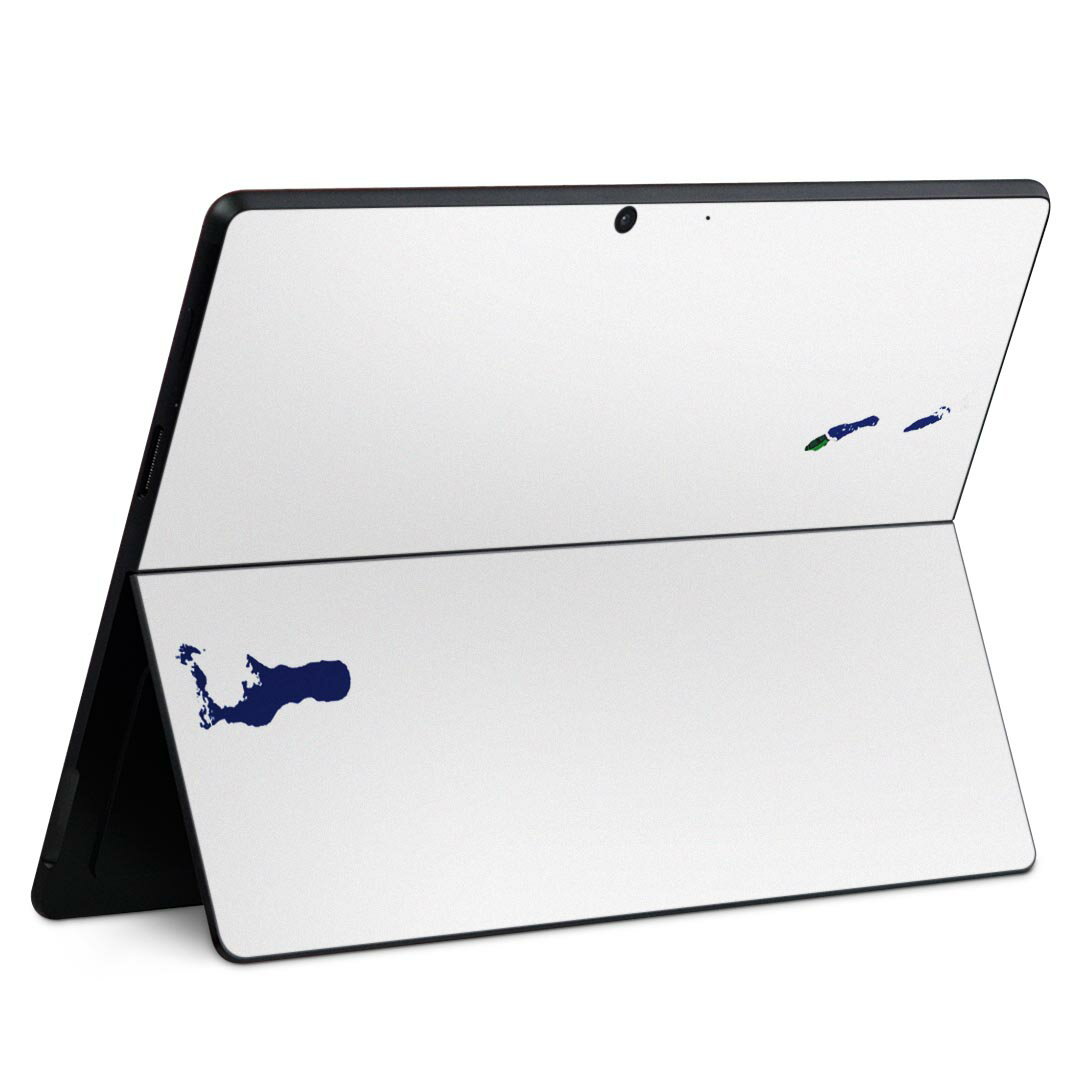Surface Pro11(2024) / Pro10(for Business) / Pro9(2022) 共通対応 背面 保護 デザイン スキンシール ..