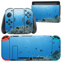 igsticker Nintendo Switch 用 デザインスキンシール 任天堂 ニンテンドー スイッチ 専用 本体ドック Joy-Con Joycon ジョイコン 専用 ゲーム機 カバー アクセサリー フィルム ステッカー 000060 海 魚 自然 サンゴ(2)