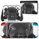 igsticker Nintendo Switch 用 デザインスキンシール 任天堂 ニンテンドー スイッチ 専用 本体ドック Joy-Con Joycon ジョイコン 専用 ゲーム機 カバー アクセサリー フィルム ステッカー 000127 犬 黒 フレンチブルドック ダックスフント(2)