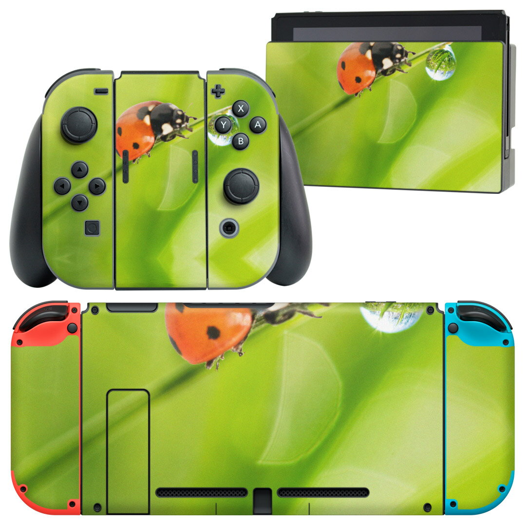 igsticker Nintendo Switch 用 デザインスキンシール 任天堂 ニンテンドー スイッチ 専用 本体ドック Joy-Con Joycon ジョイコン 専用 ゲーム機 カバー アクセサリー フィルム ステッカー 000820 てんとう虫　草