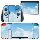 igsticker Nintendo Switch 用 デザインスキンシール 任天堂 ニンテンドー スイッチ 専用 本体ドック Joy-Con Joycon ジョイコン 専用 ゲーム機 カバー アクセサリー フィルム ステッカー 000935 海　空　雲