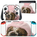 igsticker Nintendo Switch 用 デザインスキンシール 任天堂 ニンテンドー スイッチ 専用 本体ドック Joy-Con Joycon ジョイコン 専用 ゲーム機 カバー アクセサリー フィルム ステッカー 001083 犬 うさぎ