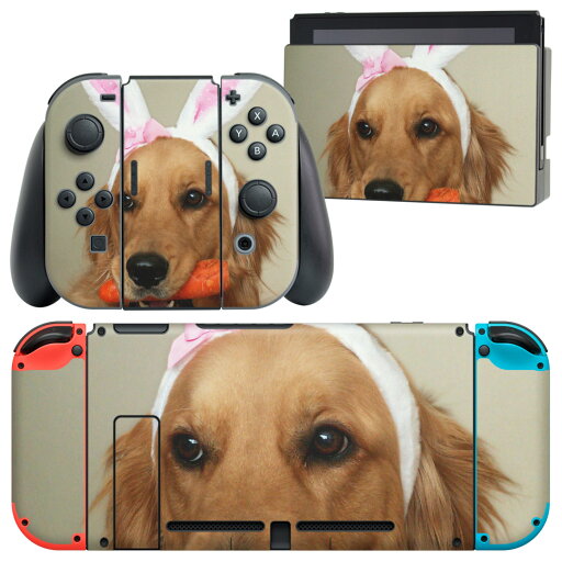 igsticker Nintendo Switch 用 デザインスキンシール 任天堂 ニンテンドー スイッチ 専用 本体ドック Joy-Con Joycon ジョイコン 専用 ゲーム機 カバー アクセサリー フィルム ステッカー 001111 犬 ゴールデン 動物 igsticker Nintendo Switch 用 デザインスキンシール 任天堂 ニンテンドー スイッチ 専用 本体ドック Joy-Con Joycon ジョイコン 専用 ゲーム機 カバー アクセサリー フィルム ステッカー 001111 犬 ゴールデン 動物