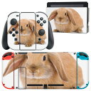 igsticker Nintendo Switch 用 デザインスキンシール 任天堂 ニンテンドー スイッチ 専用 本体ドック Joy-Con Joycon ジョイコン 専用 ゲーム機 カバー アクセサリー フィルム ステッカー 001112 うさぎ 動物