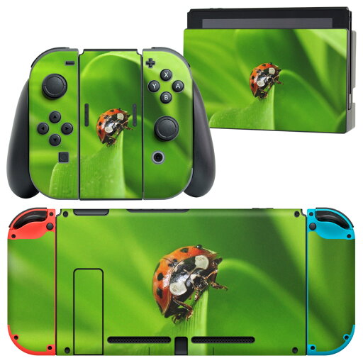 igsticker Nintendo Switch 用 デザインスキンシール 任天堂 ニンテンドー スイッチ 専用 本体ドック Joy-Con Joycon ジョイコン 専用 ゲーム機 カバー アクセサリー フィルム ステッカー 001144 てんとう虫 草