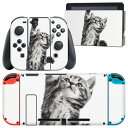 igsticker Nintendo Switch p fUCXLV[ CV jeh[ XCb` p {̃hbN Joy-Con Joycon WCR p Q[@ Jo[ ANZT[ tB XebJ[ 001200 lR@