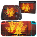 igsticker Nintendo Switch 用 デザインスキンシール 任天堂 ニンテンドー スイッチ 専用 本体ドック Joy-Con Joycon ジョイコン 専用 ゲーム機 カバー アクセサリー フィルム ステッカー 001253 紅葉 秋