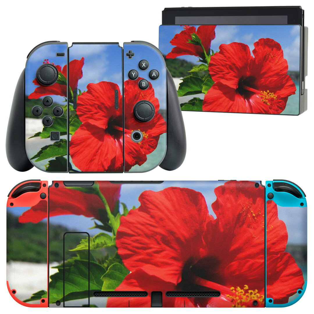 igsticker Nintendo Switch 用 デザインスキンシール 任天堂 ニンテンドー スイッチ 専用 本体ドック Joy-Con Joycon ジョイコン 専用 ゲーム機 カバー アクセサリー フィルム ステッカー 001577 ハイビスカス　青空