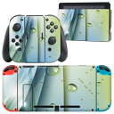 igsticker Nintendo Switch 用 デザインスキンシール 任天堂 ニンテンドー スイッチ 専用 本体ドック Joy-Con Joycon ジョイコン 専用 ゲーム機 カバー アクセサリー フィルム ステッカー 001798 水滴 立体 青(2)