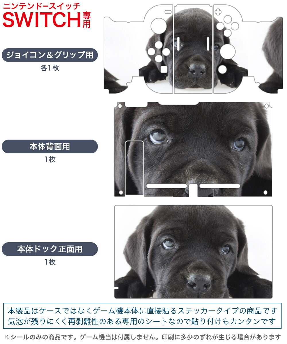 igsticker Nintendo Switch 用 デザインスキンシール 任天堂 ニンテンドー スイッチ 専用 本体ドック Joy-Con Joycon ジョイコン 専用 ゲーム機 カバー アクセサリー フィルム ステッカー 000127 犬 黒 フレンチブルドック ダックスフント 2
