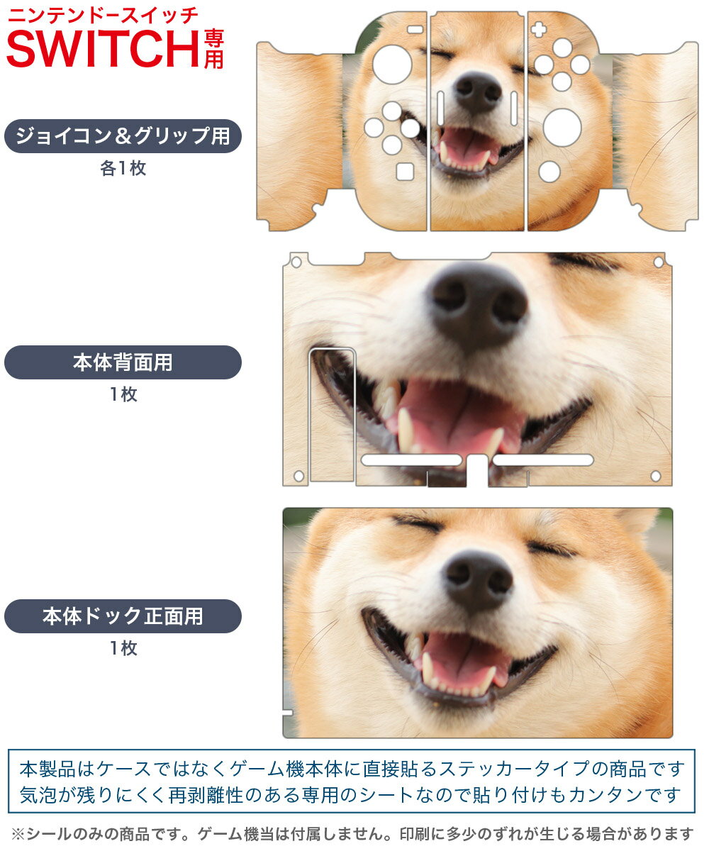 スマートフォン スマホ OA機器 デジタル 情報 周辺 機器 パーツ ケース スタンド アクセサリー デジタル関連 | アンサー Switch有機ELモデル用 ドックinクリアプロテクト ANS-SW136CL