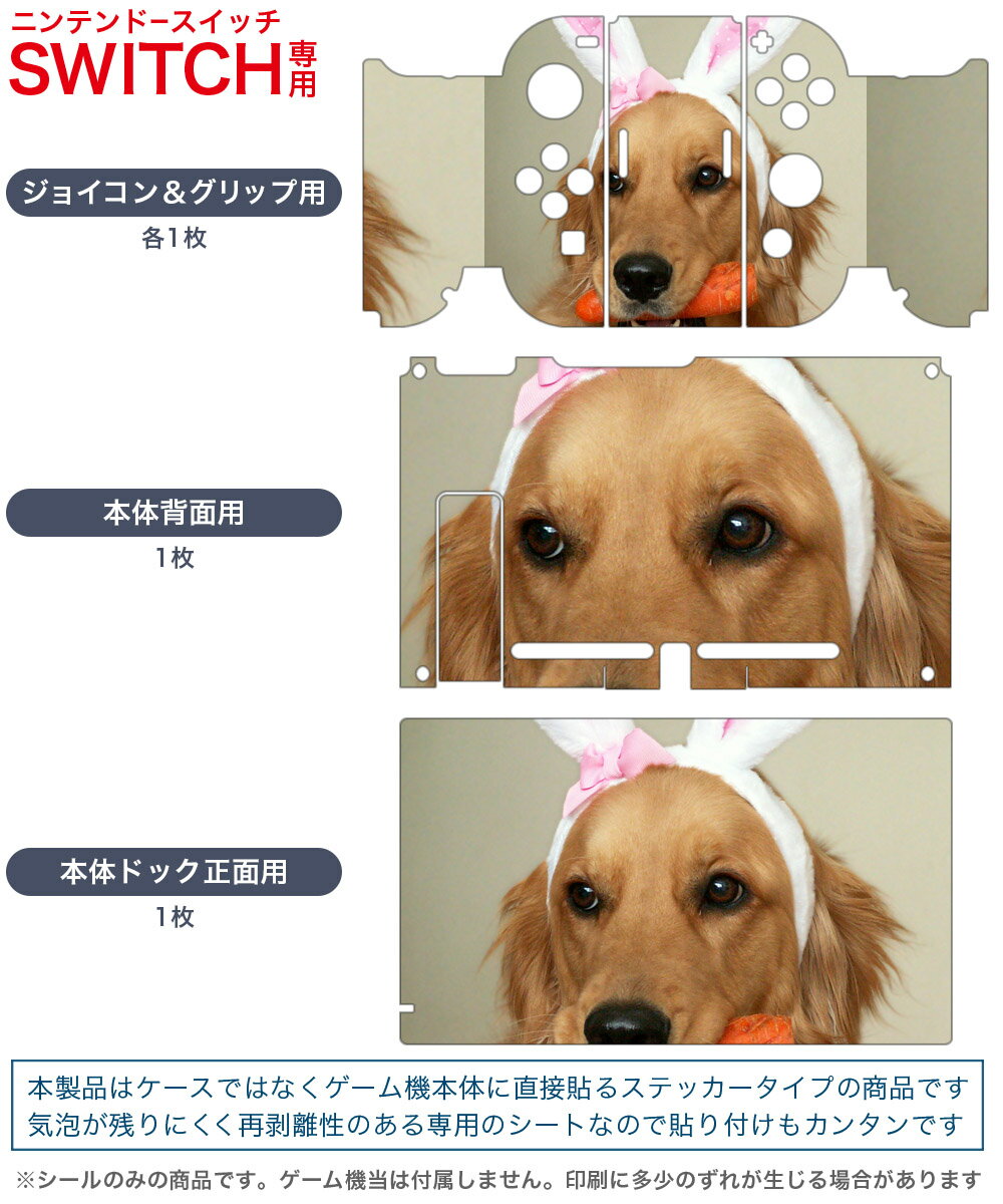 igsticker Nintendo Switch 用 デザインスキンシール 任天堂 ニンテンドー スイッチ 専用 本体ドック Joy-Con Joycon ジョイコン 専用 ゲーム機 カバー アクセサリー フィルム ステッカー 001111 犬　ゴールデン　動物