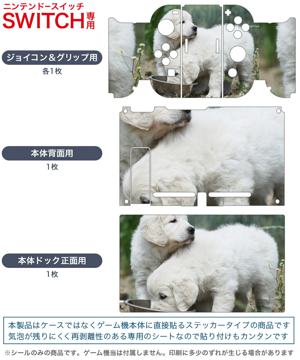 igsticker Nintendo Switch 用 デザインスキンシール 任天堂 ニンテンドー スイッチ 専用 本体ドック Joy-Con Joycon ジョイコン 専用 ゲーム機 カバー アクセサリー フィルム ステッカー 002577