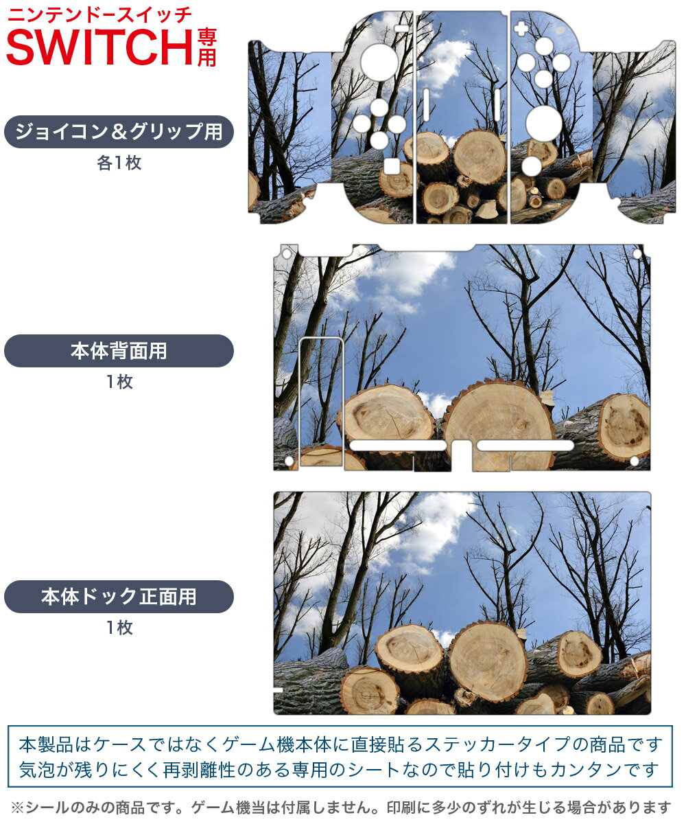 igsticker Nintendo Switch 用 デザインスキンシール 任天堂 ニンテンドー スイッチ 専用 本体ドック Joy-Con Joycon ジョイコン 専用 ゲーム機 カバー アクセサリー フィルム ステッカー 002647 景色　風景　写真