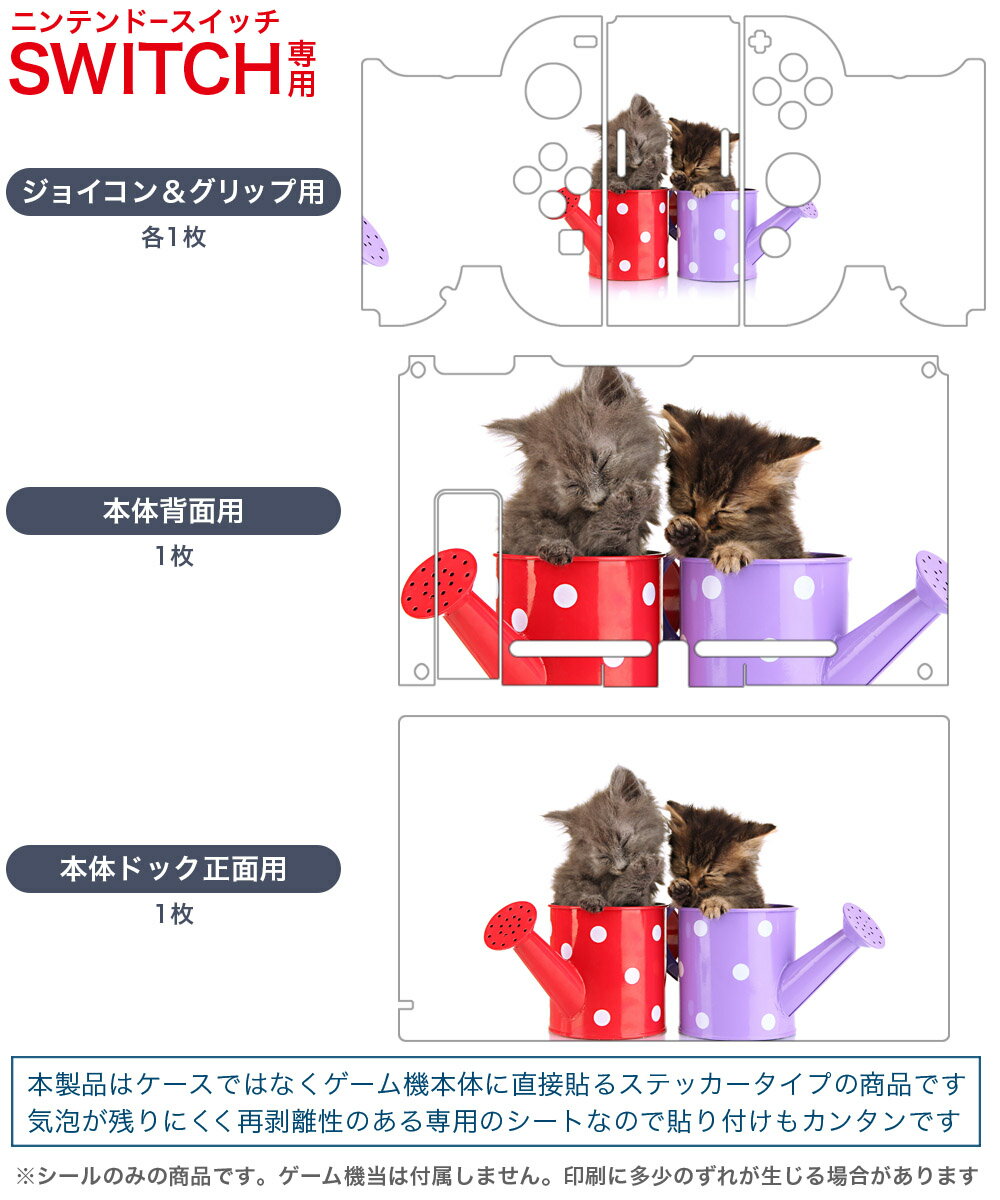 【中古】Switch BLAZBLUE　CROSS　TAG　BATTLE　Special　Edition　［DLコード付属なし］