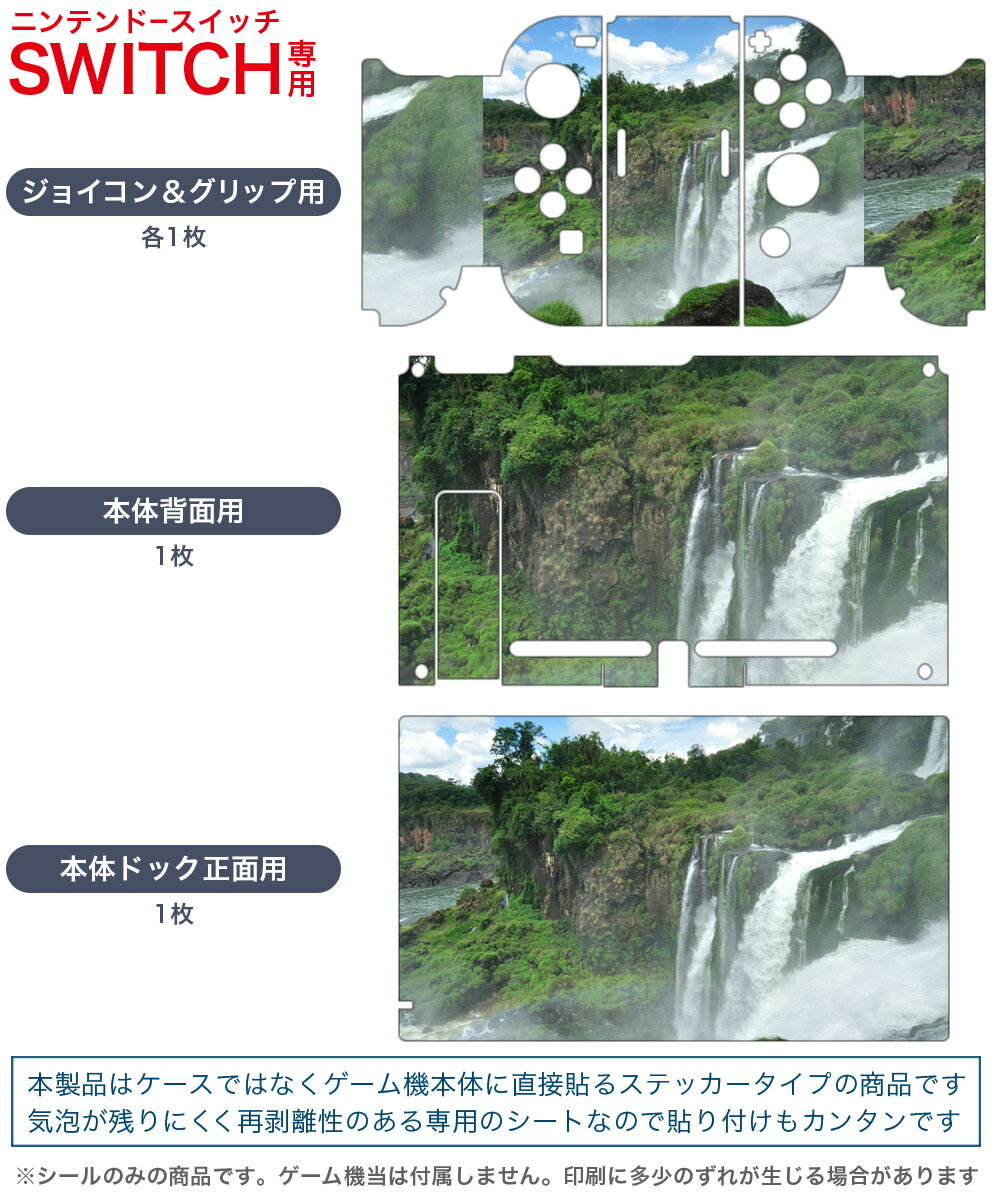 igsticker Nintendo Switch 用 デザインスキンシール 任天堂 ニンテンドー スイッチ 専用 本体ドック Joy-Con Joycon ジョイコン 専用 ゲーム機 カバー アクセサリー フィルム ステッカー 003285 外国　写真　景色　風景