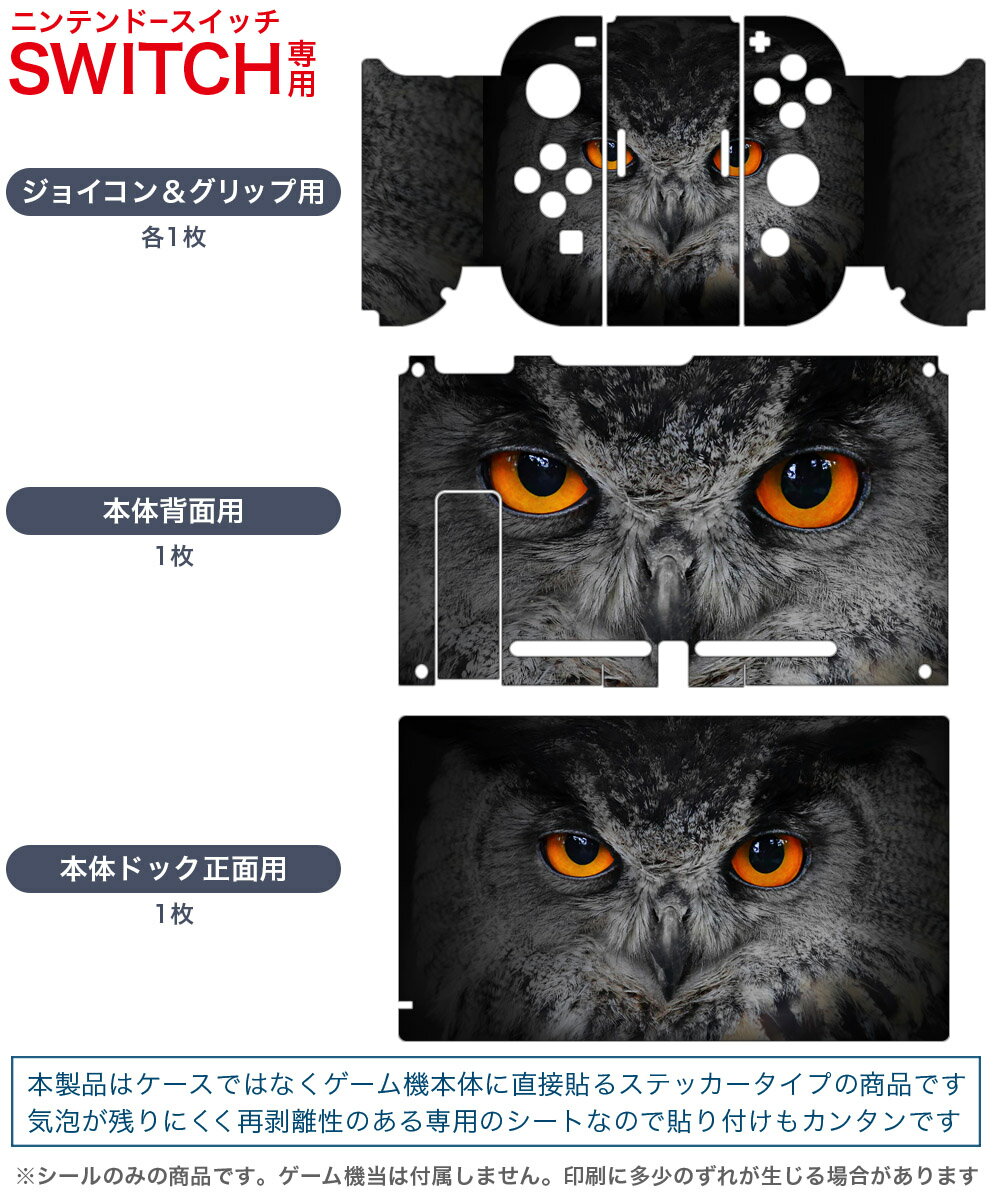 igsticker Nintendo Switch 用 デザインスキンシール 任天堂 ニンテンドー スイッチ 専用 本体ドック Joy-Con Joycon ジョイコン 専用 ゲーム機 カバー アクセサリー フィルム ステッカー 003435 鳥　動物　写真
