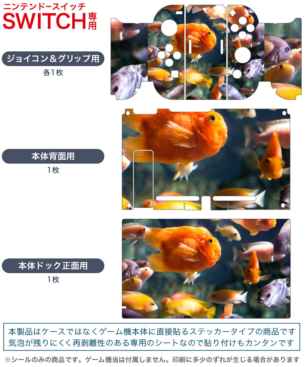igsticker Nintendo Switch 用 デザインスキンシール 任天堂 ニンテンドー スイッチ 専用 本体ドック Joy-Con Joycon ジョイコン 専用 ゲーム機 カバー アクセサリー フィルム ステッカー 003538 魚　海　写真