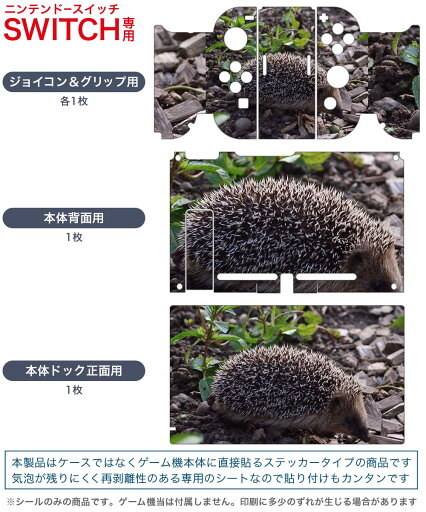 igsticker Nintendo Switch 用 デザインスキンシール 任天堂 ニンテンドー スイッチ 専用 本体ドック Joy-Con Joycon ジョイコン 専用 ゲーム機 カバー アクセサリー フィルム ステッカー 022867 ハリネズミ 写真