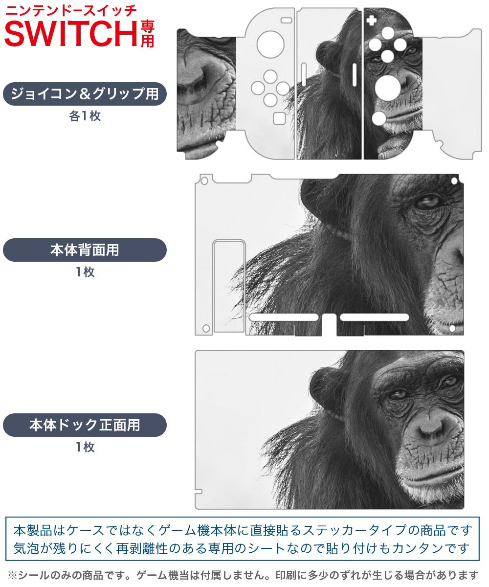 【中古】Nintendo Switchソフト ソードアート・オンライン フラクチュアード デイドリーム プレミアム特装版 (SWORD ART ONLINE Fractured Daydream)【加納店】