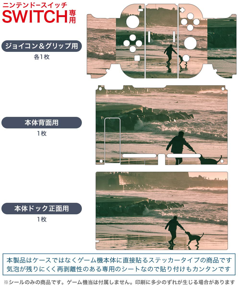igsticker Nintendo Switch 用 デザインスキンシール 任天堂 ニンテンドー スイッチ 専用 本体ドック Joy-Con Joycon ジョイコン 専用 ゲーム機 カバー アクセサリー フィルム ステッカー 022951 海　人物　犬　散歩