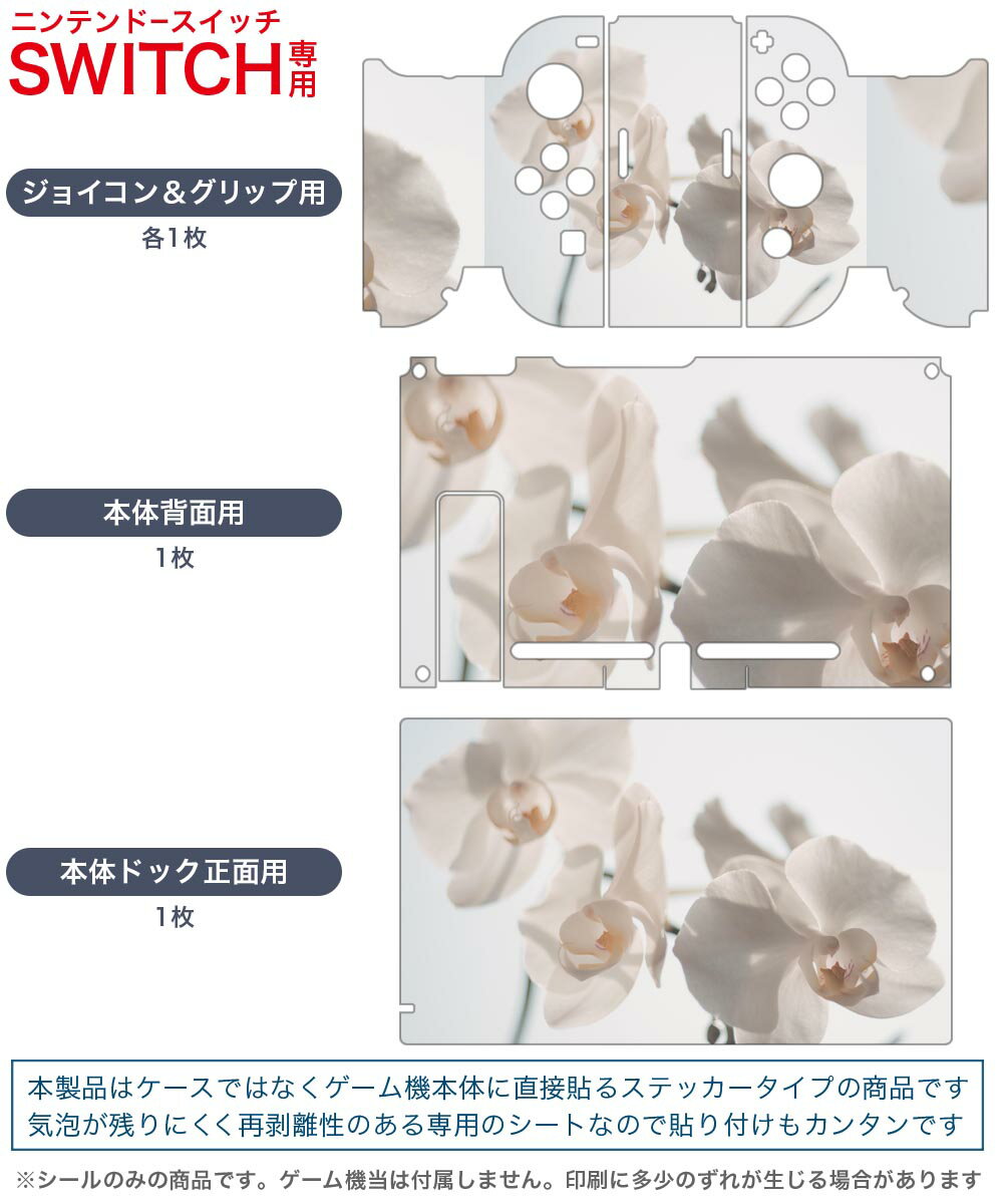 igsticker Nintendo Switch 用 デザインスキンシール 任天堂 ニンテンドー スイッチ 専用 本体ドック Joy-Con Joycon ジョイコン 専用 ゲーム機 カバー アクセサリー フィルム ステッカー 022963 花　写真　シンプル