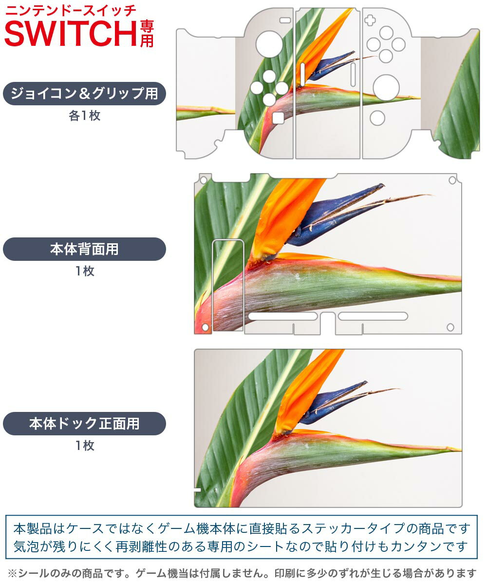 igsticker Nintendo Switch 用 デザインスキンシール 任天堂 ニンテンドー スイッチ 専用 本体ドック Joy-Con Joycon ジョイコン 専用 ゲーム機 カバー アクセサリー フィルム ステッカー 022987 花　カラフル　写真
