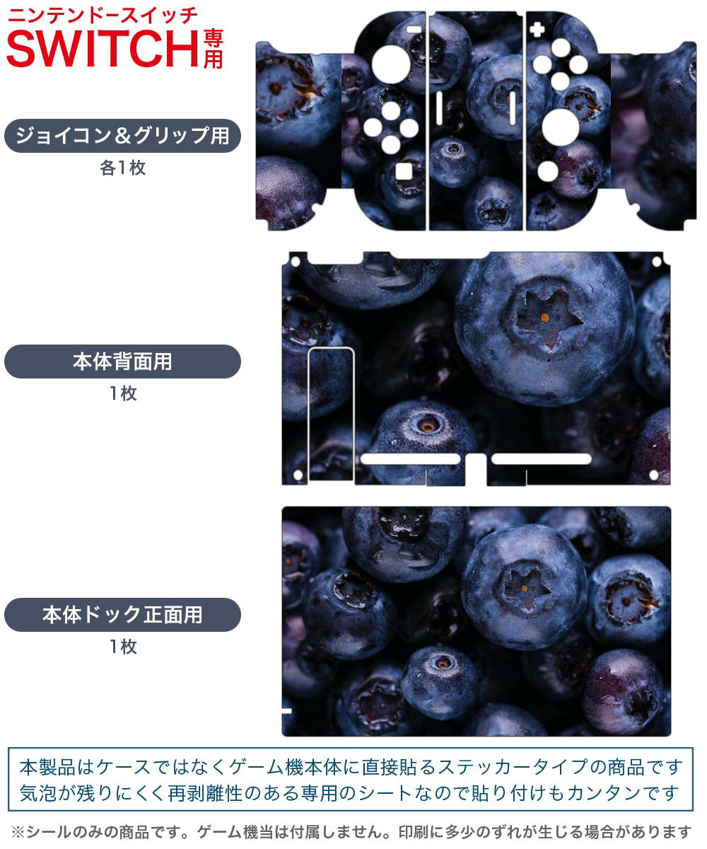 igsticker Nintendo Switch 用 デザインスキンシール 任天堂 ニンテンドー スイッチ 専用 本体ドック Joy-Con Joycon ジョイコン 専用 ゲーム機 カバー アクセサリー フィルム ステッカー 022995 ブルーベリー　食べ物　写真