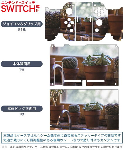 igsticker Nintendo Switch 用 デザインスキンシール 任天堂 ニンテンドー スイッチ 専用 本体ドック Joy-Con Joycon ジョイコン 専用 ゲーム機 カバー アクセサリー フィルム ステッカー 023053 サボテン 植物 写真