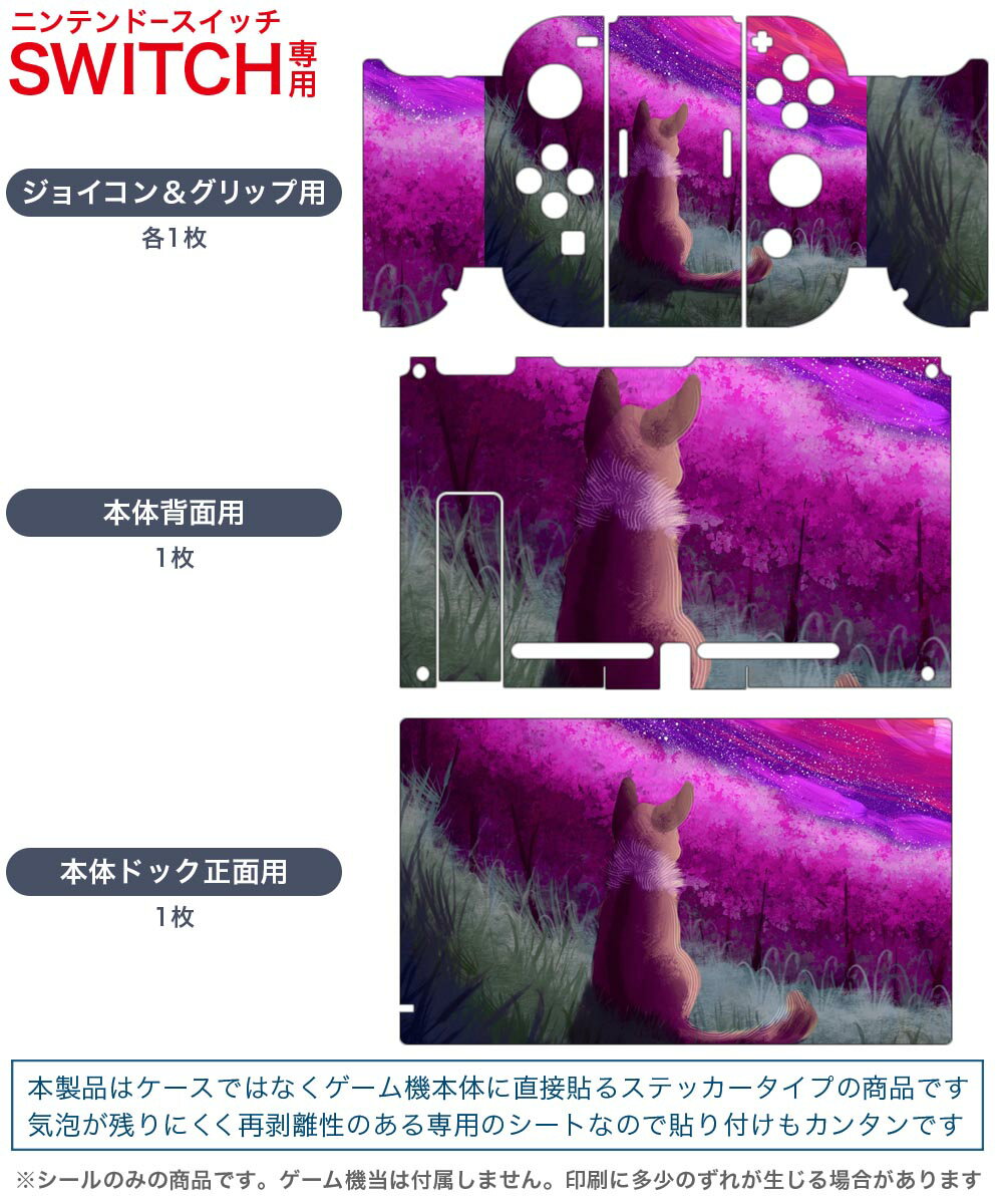 【中古】 ARIA CHRONICLE −アリアクロニクル−／NintendoSwitch