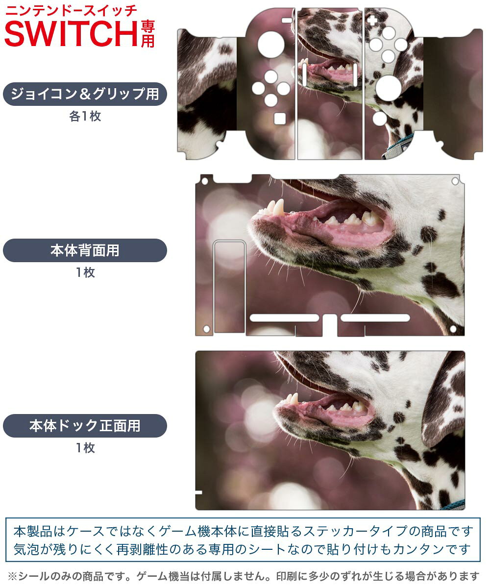 igsticker Nintendo Switch 用 デザインスキンシール 任天堂 ニンテンドー スイッチ 専用 本体ドック Joy-Con Joycon ジョイコン 専用 ゲーム機 カバー アクセサリー フィルム ステッカー 023189 犬　動物　写真