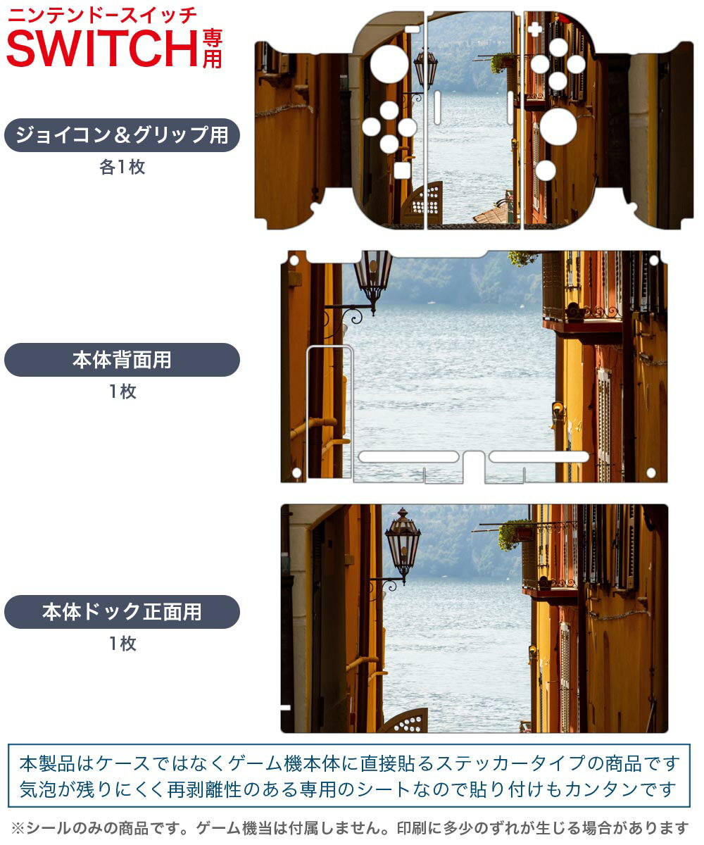 igsticker Nintendo Switch 用 デザインスキンシール 任天堂 ニンテンドー スイッチ 専用 本体ドック Joy-Con Joycon ジョイコン 専用 ゲーム機 カバー アクセサリー フィルム ステッカー 023444 湖　写真　風景