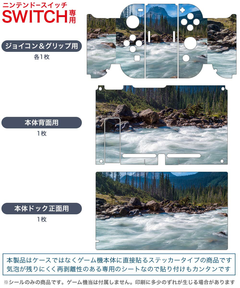 igsticker Nintendo Switch 用 デザインスキンシール 任天堂 ニンテンドー スイッチ 専用 本体ドック Joy-Con Joycon ジョイコン 専用 ゲーム機 カバー アクセサリー フィルム ステッカー 023722 川　自然　写真