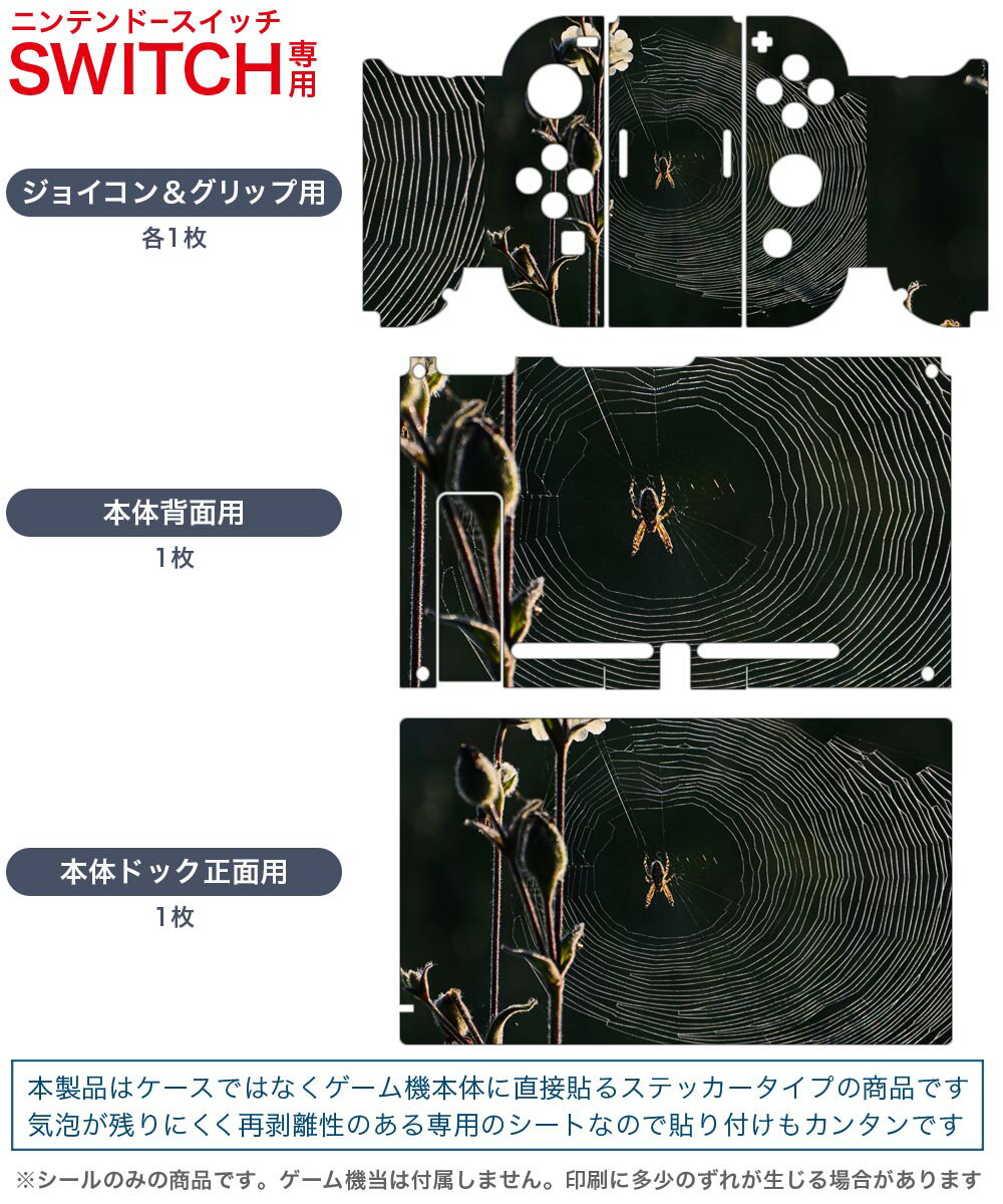 igsticker Nintendo Switch 用 デザインスキンシール 任天堂 ニンテンドー スイッチ 専用 本体ドック Joy-Con Joycon ジョイコン 専用 ゲーム機 カバー アクセサリー フィルム ステッカー 023820 くもの巣　自然