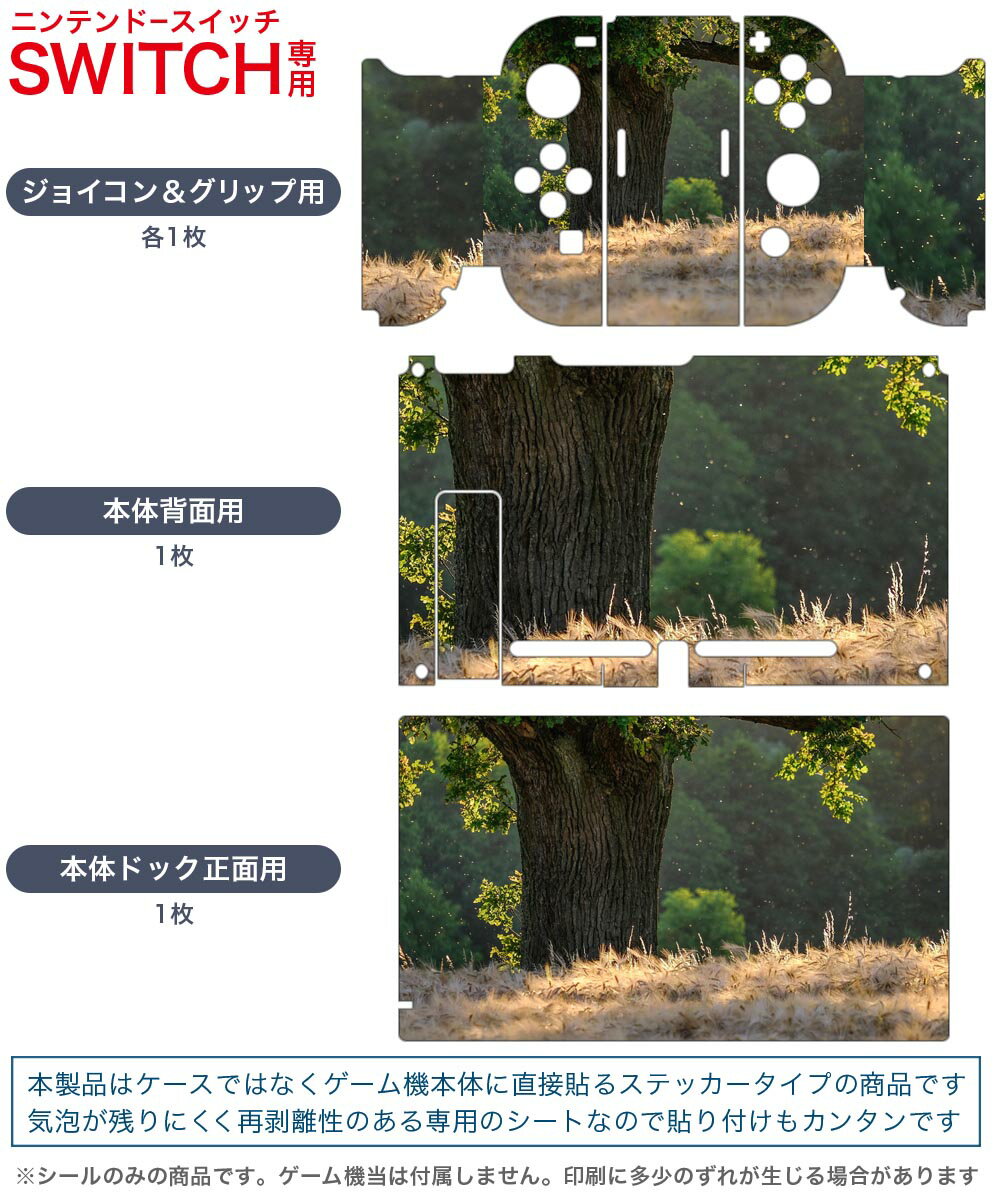 igsticker Nintendo Switch 用 デザインスキンシール 任天堂 ニンテンドー スイッチ 専用 本体ドック Joy-Con Joycon ジョイコン 専用 ゲーム機 カバー アクセサリー フィルム ステッカー 023907 自然　写真　景色