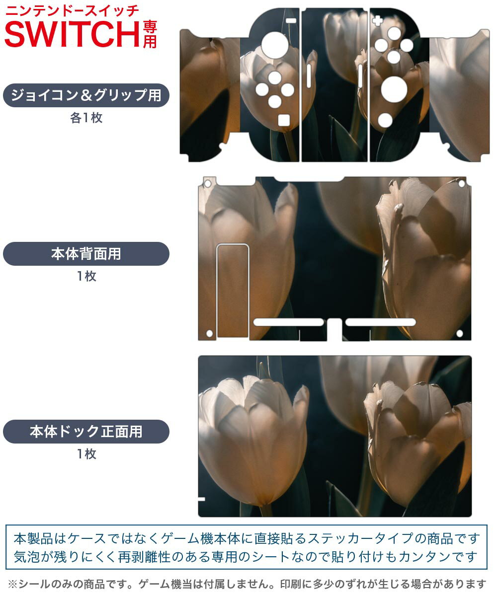 igsticker Nintendo Switch 用 デザインスキンシール 任天堂 ニンテンドー スイッチ 専用 本体ドック Joy-Con Joycon ジョイコン 専用 ゲーム機 カバー アクセサリー フィルム ステッカー 023919 花　フラワー　チューリップ