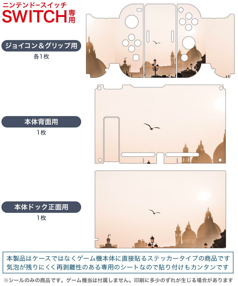 igsticker Nintendo Switch 用 デザインスキンシール 任天堂 ニンテンドー スイッチ 専用 本体ドック Joy-Con Joycon ジョイコン 専用 ゲーム機 カバー アクセサリー フィルム ステッカー 023933 風景　写真