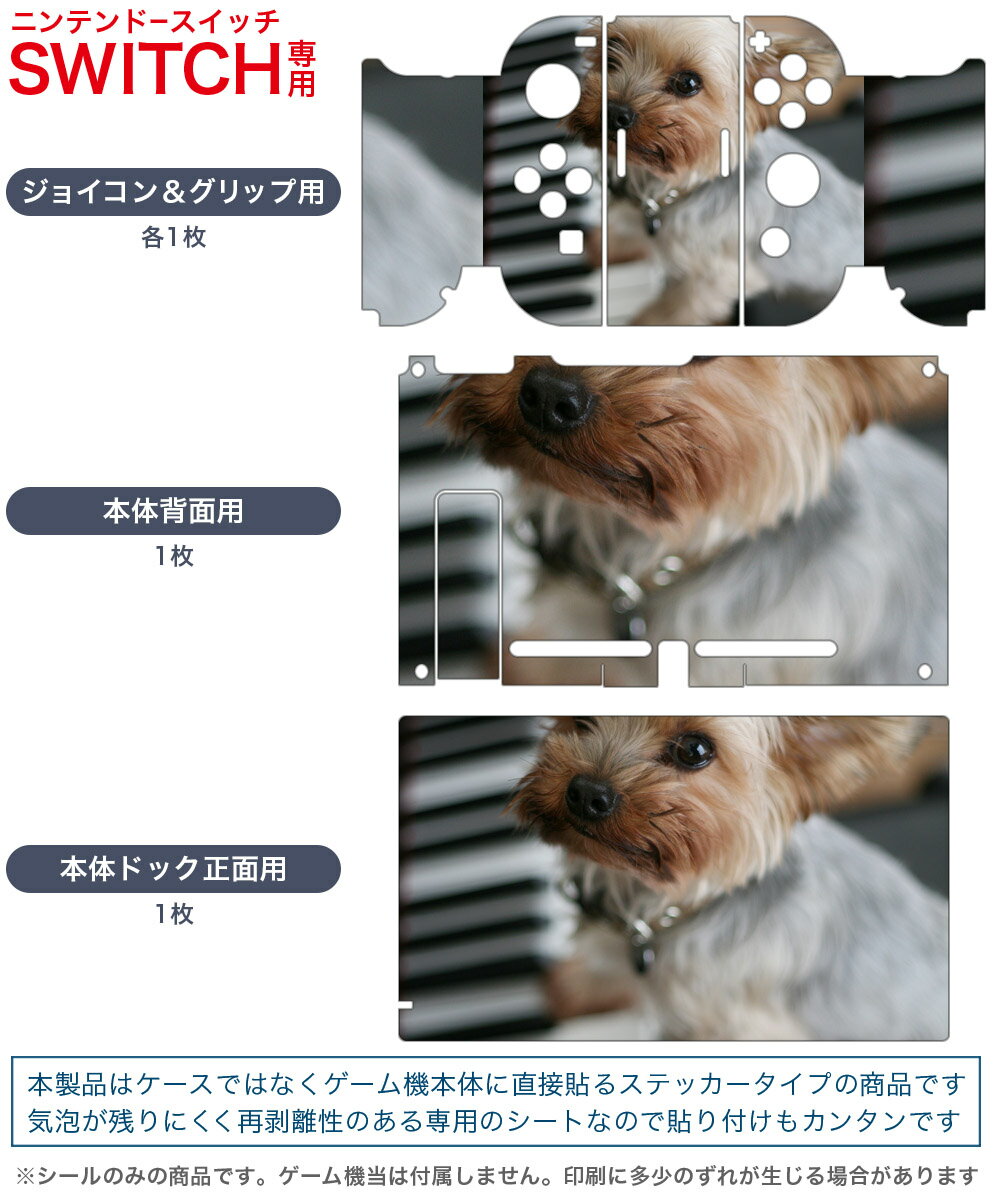 igsticker Nintendo Switch 用 デザインスキンシール 任天堂 ニンテンドー スイッチ 専用 本体ドック Joy-Con Joycon ジョイコン 専用 ゲーム機 カバー アクセサリー フィルム ステッカー 004565 犬　写真　ピアノ