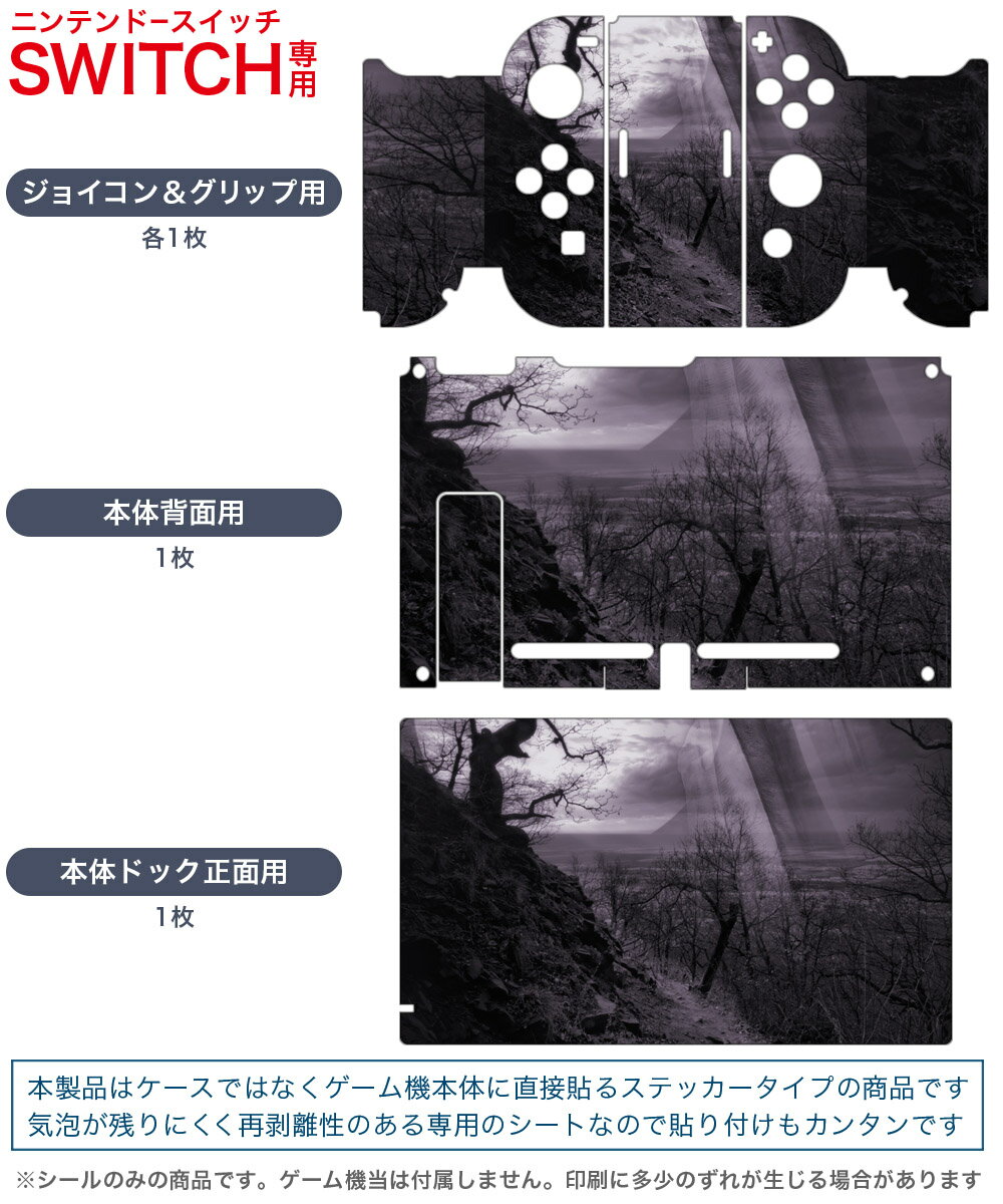igsticker Nintendo Switch 用 デザインスキンシール 任天堂 ニンテンドー スイッチ 専用 本体ドック Joy-Con Joycon ジョイコン 専用 ゲーム機 カバー アクセサリー フィルム ステッカー 004903 月　イラスト　夜