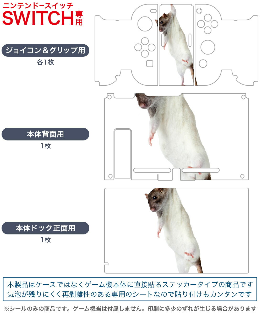 igsticker Nintendo Switch 用 デザインスキンシール 任天堂 ニンテンドー スイッチ 専用 本体ドック Joy-Con Joycon ジョイコン 専用 ゲーム機 カバー アクセサリー フィルム ステッカー 005911 アニマル 写真　動物　ねずみ
