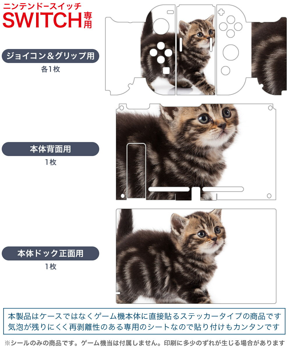igsticker Nintendo Switch 用 デザインスキンシール 任天堂 ニンテンドー スイッチ 専用 本体ドック Joy-Con Joycon ジョイコン 専用 ゲーム機 カバー アクセサリー フィルム ステッカー 005930 アニマル 写真　動物　猫　ねこ