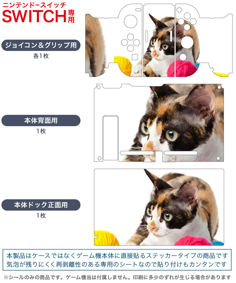 【中古】 この素晴らしい世界に祝福を！〜呪いの遺物と惑いし冒険者たち〜／NintendoSwitch