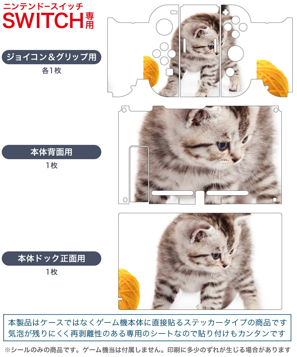 igsticker Nintendo Switch 用 デザインスキンシール 任天堂 ニンテンドー スイッチ 専用 本体ドック Joy-Con Joycon ジョイコン 専用 ゲーム機 カバー アクセサリー フィルム ステッカー 006228 写真　ネコ　ねこ