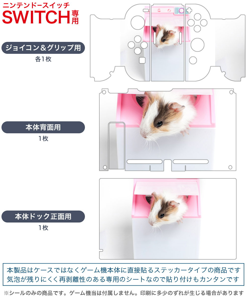 igsticker Nintendo Switch 用 デザインスキンシール 任天堂 ニンテンドー スイッチ 専用 本体ドック Joy-Con Joycon ジョイコン 専用 ゲーム機 カバー アクセサリー フィルム ステッカー 006501 アニマル 写真　ハムスター　動物