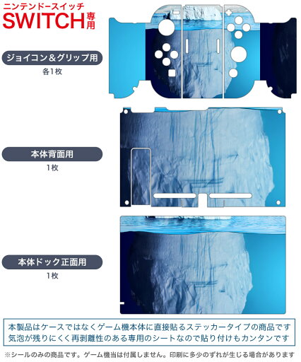 igsticker Nintendo Switch 用 デザインスキンシール 任天堂 ニンテンドー スイッチ 専用 本体ドック Joy-Con Joycon ジョイコン 専用 ゲーム機 カバー アクセサリー フィルム ステッカー 007876 写真 海 空 青 ブルー