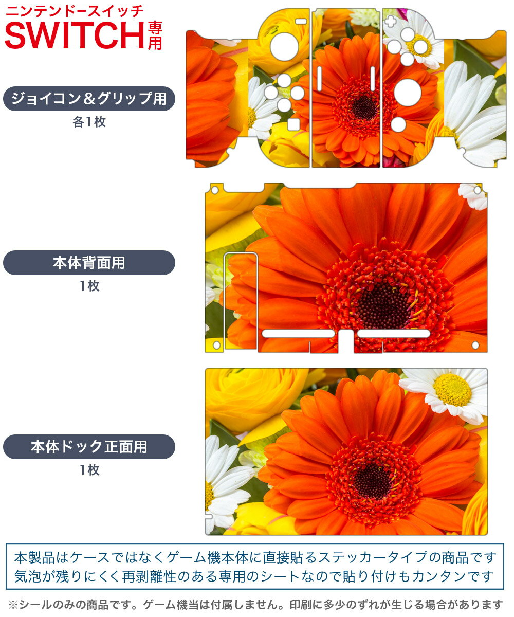 igsticker Nintendo Switch 用 デザインスキンシール 任天堂 ニンテンドー スイッチ 専用 本体ドック Joy-Con Joycon ジョイコン 専用 ゲーム機 カバー アクセサリー フィルム ステッカー 008062 写真　花　　カラフル