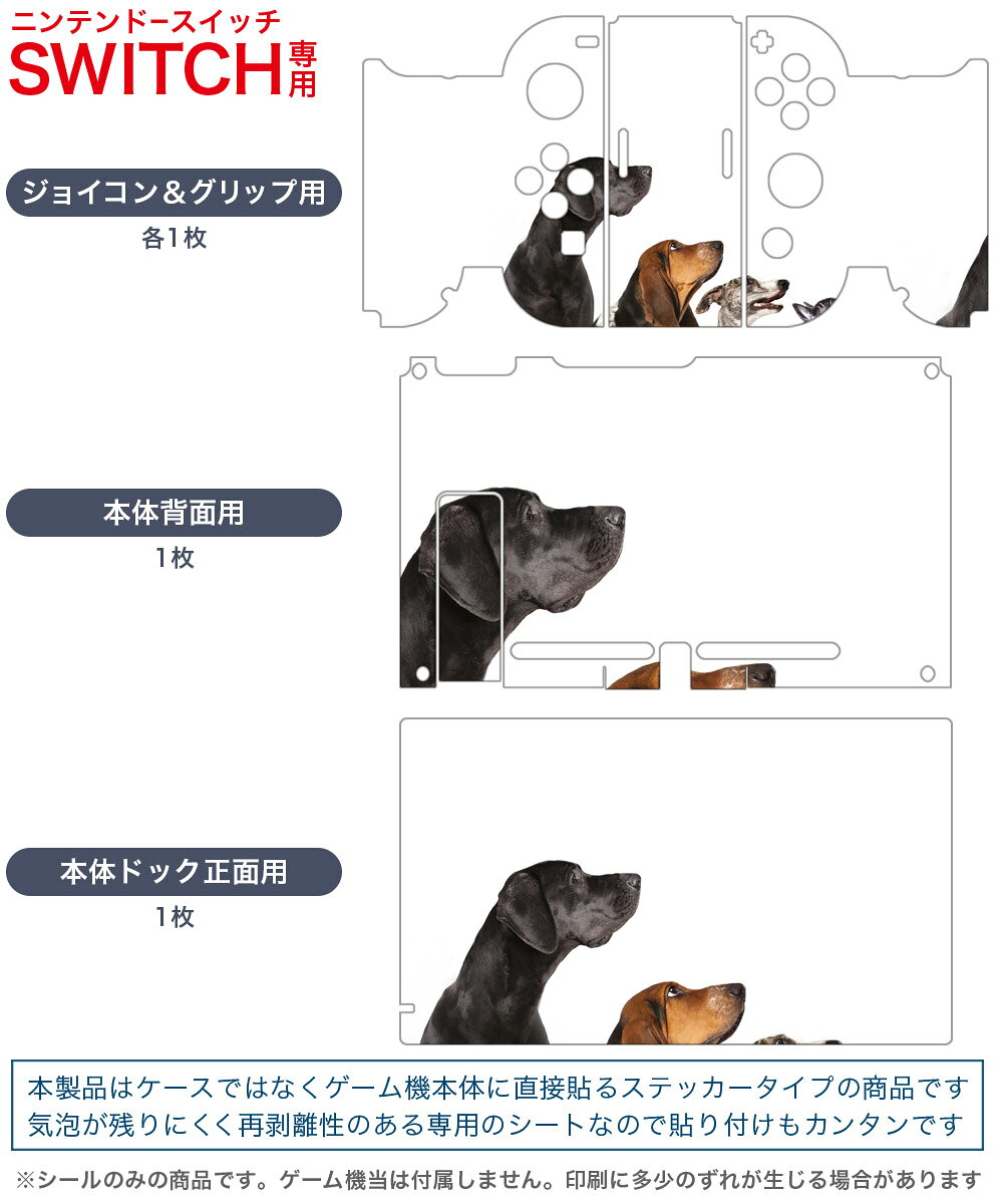 スマコレのigsticker Nintendo Switch 用 デザインスキンシール 任天堂 ニンテンドー スイッチ 専用 本体ドック Joy-Con Joycon ジョイコン 専用 ゲーム機 カバー アクセサリー フィルム ステッカー 008190 写真　犬　いぬ　白　ホワイト｜アングル2