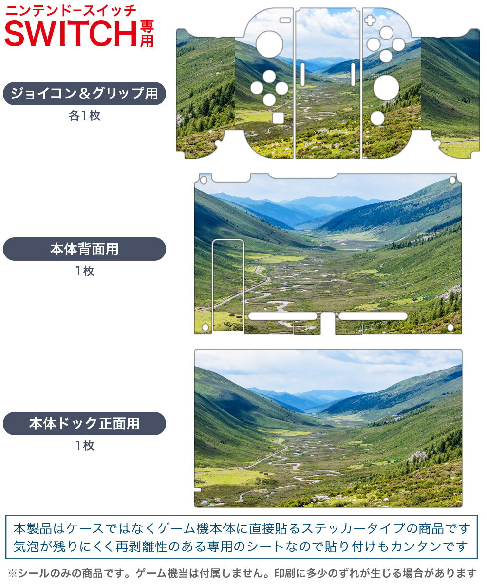 igsticker Nintendo Switch 用 デザインスキンシール 任天堂 ニンテンドー スイッチ 専用 本体ドック Joy-Con Joycon ジョイコン 専用 ゲーム機 カバー アクセサリー フィルム ステッカー 009763 風景　景色　写真