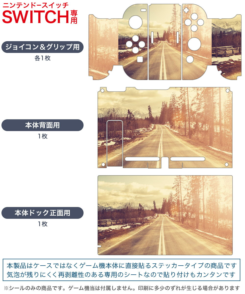 igsticker Nintendo Switch 用 デザインスキンシール 任天堂 ニンテンドー スイッチ 専用 本体ドック Joy-Con Joycon ジョイコン 専用 ゲーム機 カバー アクセサリー フィルム ステッカー 011287 写真　風景　道