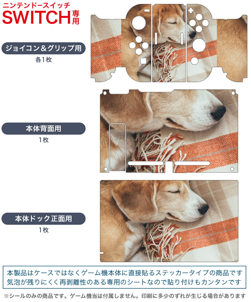 【中古】【非常に良い】Xenoblade2 Collector's Edition (ゼノブレイド2 コレクターズ エディション) - Switch n5ksbvb